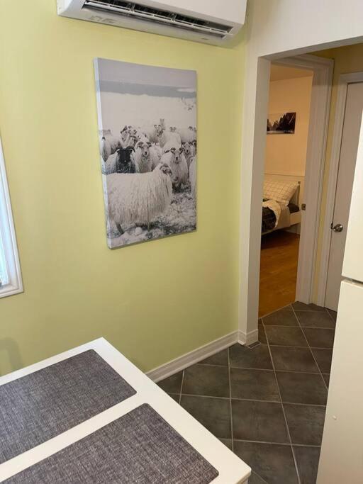 Holiday home 3 Bedrooms Cozy Comfortable Vacation Downtown Ottawa Near Parliamant And Park *